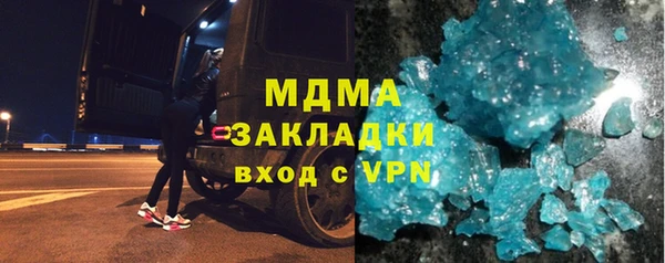 прущие грибы Вязьма